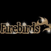 GLT17 GOLD GLITTER Thumbnail