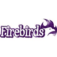 GLT17 PURPLE GLITTER Thumbnail